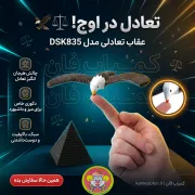 عقاب تعادلی دنیای سرگرمی‌های کمیاب مدل DSK835 – اسباب‌بازی تعادلی و دکوری خاص - تصویر 3