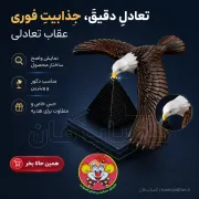 عقاب تعادلی DSK835 | اسباب‌بازی تعادلی و دکور ماشین و منزل | کمیاب فان