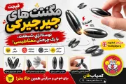 فیجت مگنت های جیرجیرکی