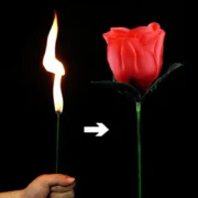 گل آتش شعبده‌بازی