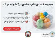 مجموعه ۶ عددی تخم دایناسور بزرگ‌شونده | اسباب‌بازی علمی و هیجان‌انگیز
