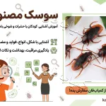 سوسک مصنوعی | مجموعه 5 عددی (آموزشی و شوخی)