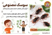 سوسک مصنوعی | مجموعه 5 عددی (آموزشی و شوخی)