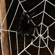 تار عنکبوت مخملی غول پیکر ۱۵۰ سانتی‌متری - تصویر 3