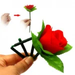 گل تاشو ظاهر شونده