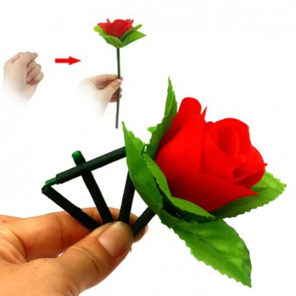 گل تاشو ظاهر شونده
