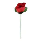 شعبده بازی گل تاشو ظاهر شونده - تصویر 2