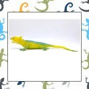 ابزار شوخی آفتاب پرست بوقی- تجربه‌ای بی‌نظیر از خنده - تصویر 10