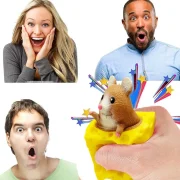 فیجت ضد استرس مدل موش پنیری برای افزایش تمرکز - تصویر 6
