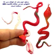 ابزار شوخی دنیای سرگرمی های کمیاب مدل مار کبری بسته دو عددی - تصویر 2