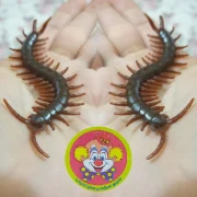 ست تار کشی عنکبوت؛ دیزاینی دلهره‌آور و خلاقانه - تصویر 3