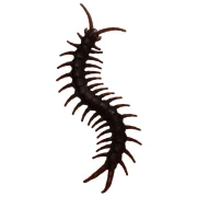سوسک، هزارپا و عقرب مصنوعی داخل پک شوخی کودک
